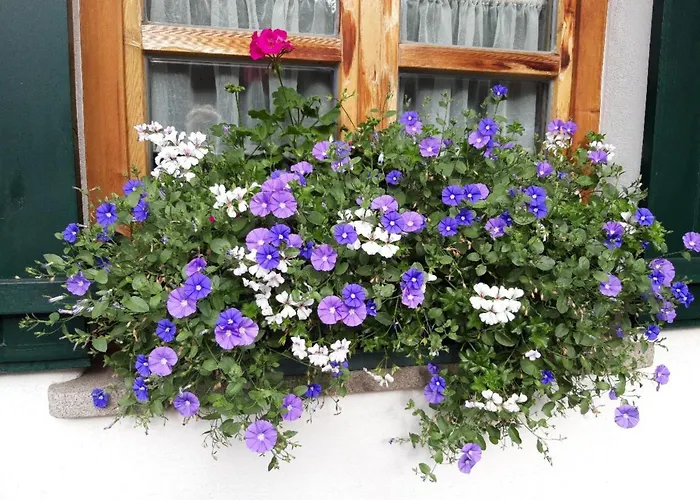 Altes Forsthaus