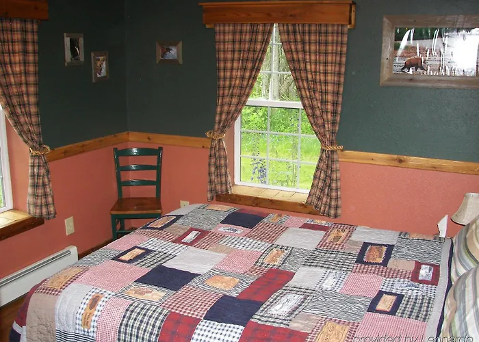 Blonde Bear Bed And Breakfast