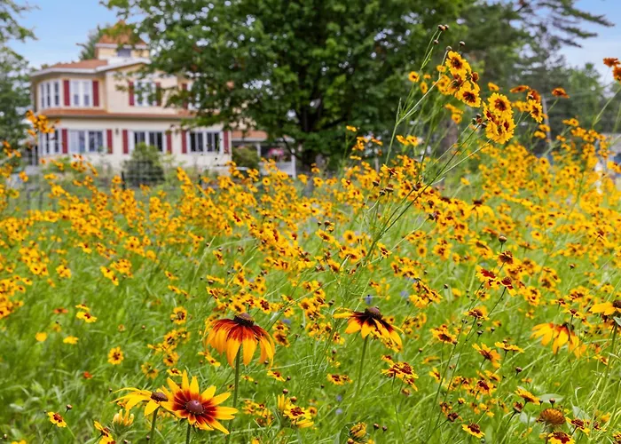 Rockwell Falls Inn And Wine Bar