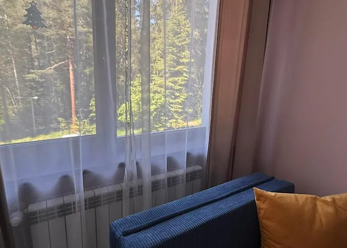 MVS Borovetz Gardens Apart E28 studio