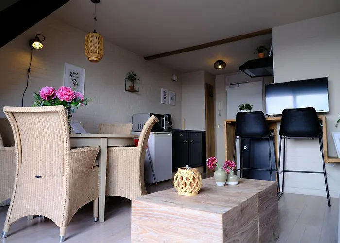 Modern Appartement Aan Zeeuwse Jachthaven Vp018
