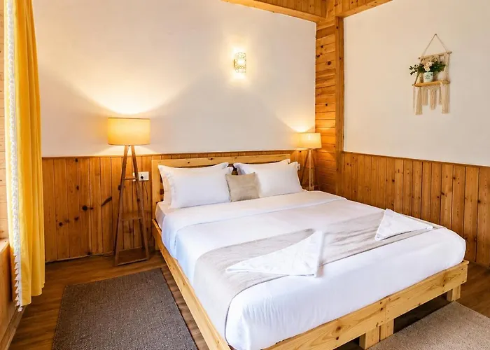 The Riverside Boutique Inn - Tirthan Valley