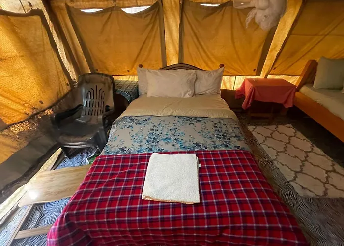 Treasure Camp