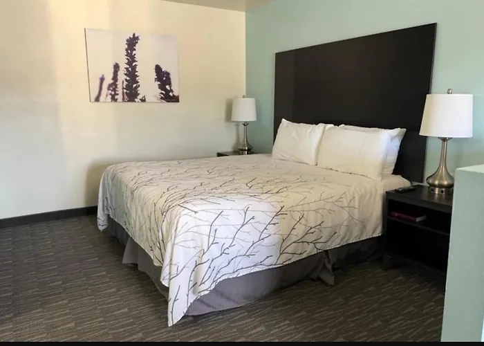 Surestay By Best Western Yerington Inn
