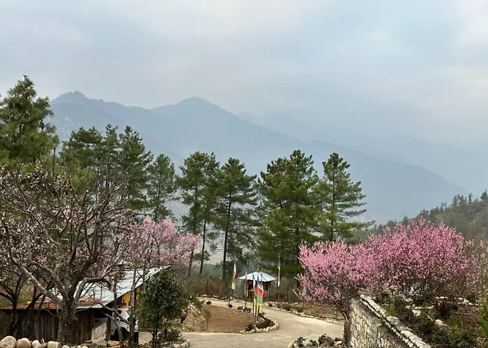 Haven Resort Paro