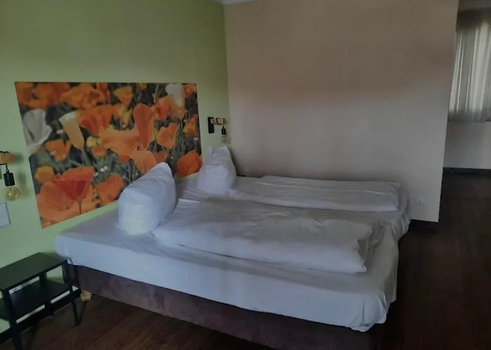 Hotel Maxsoyi