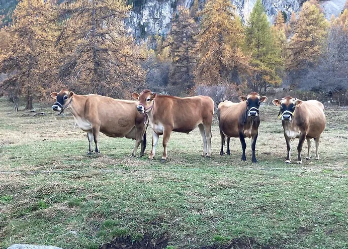 Ferme De La Claree
