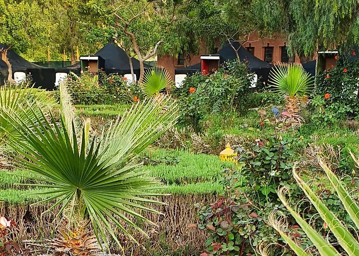 Domaine Couleurs Berberes, Piscine, Vue Atlas, Bivouac & Experiences A Lalla Takerkoust