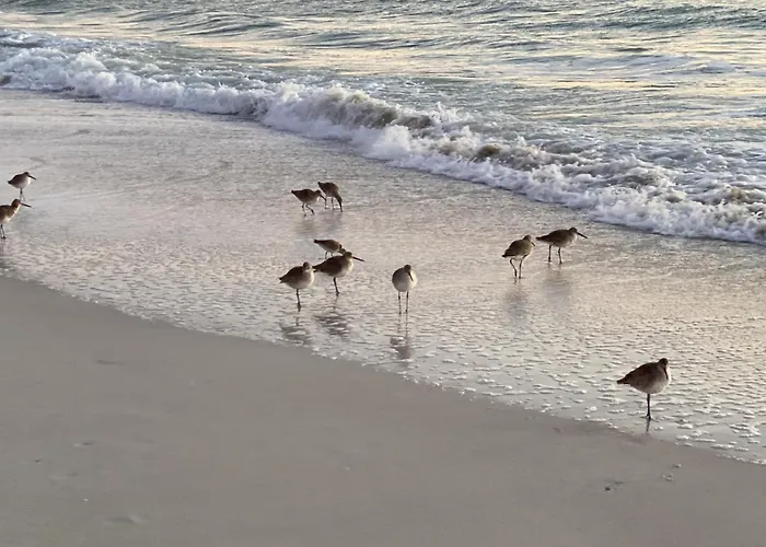 A Tropical Breeze Beach Club - Anna Maria Island