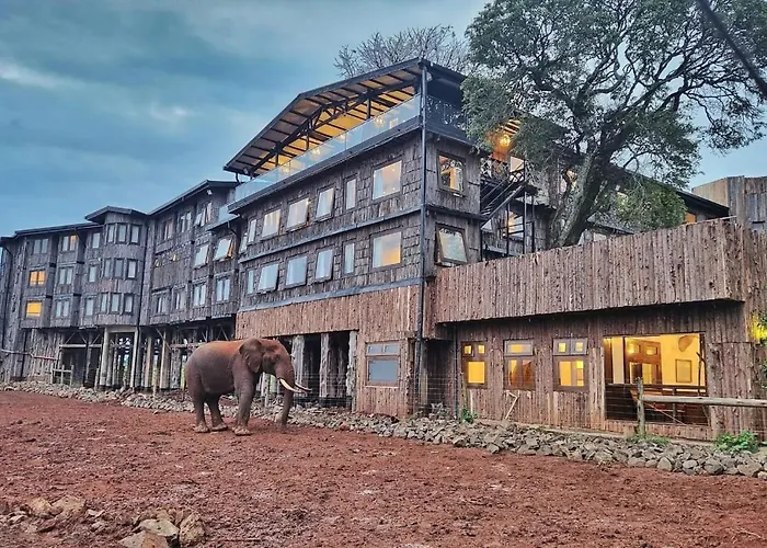 The Treetops Lodge
