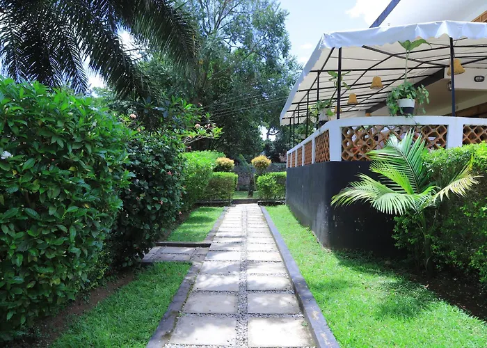 Rocy Hotel