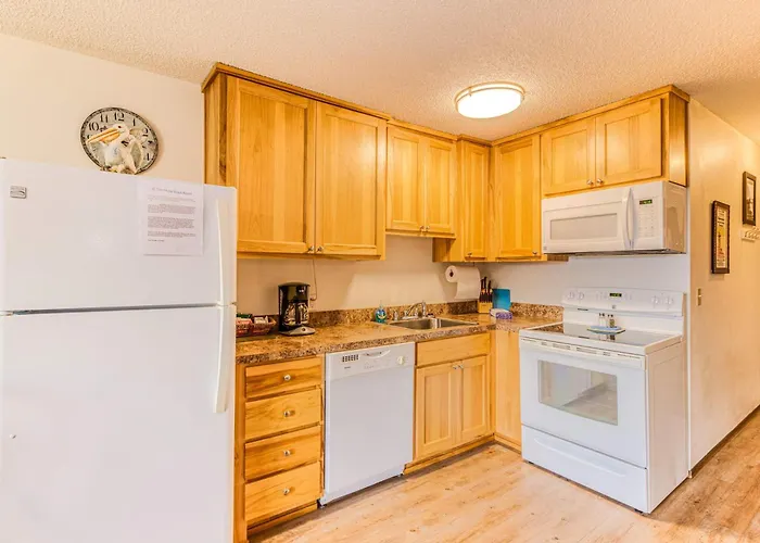 Hi-Tide Resort King Bed Dogs Ok Unit 01
