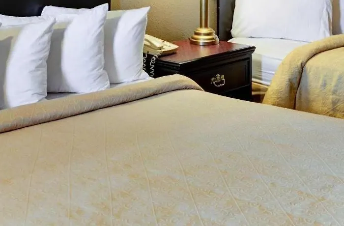 Quality Inn & Suites Hot Springs-Lake Hamilton