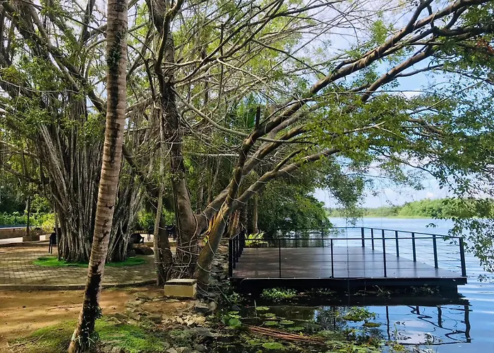 River Tree Bolgoda
