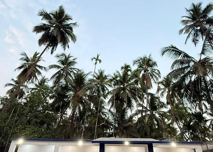 Hotel Calm Resort