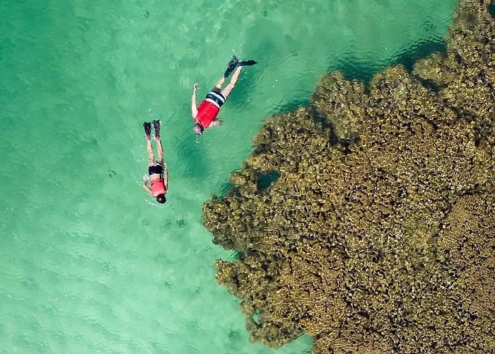 Vivant Eco Beach Resort