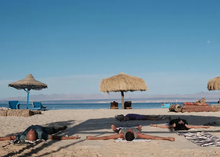 Viva La Vida Beach Camp
