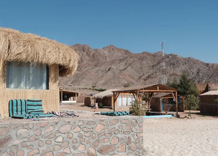 Viva La Vida Beach Camp