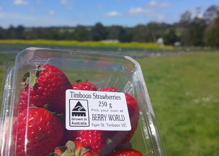 Berry World