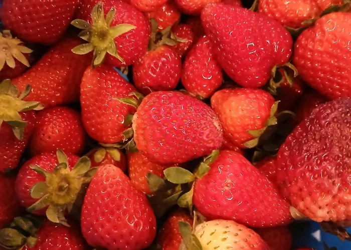 Berry World