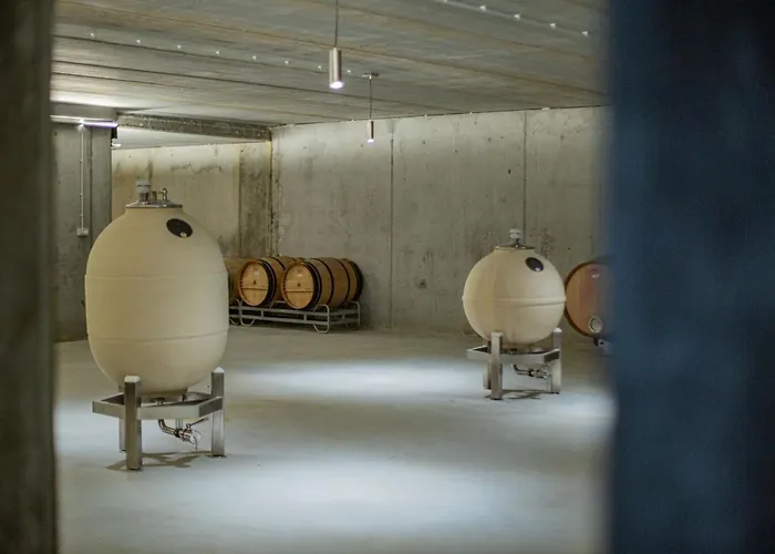 Bodega Díscolo