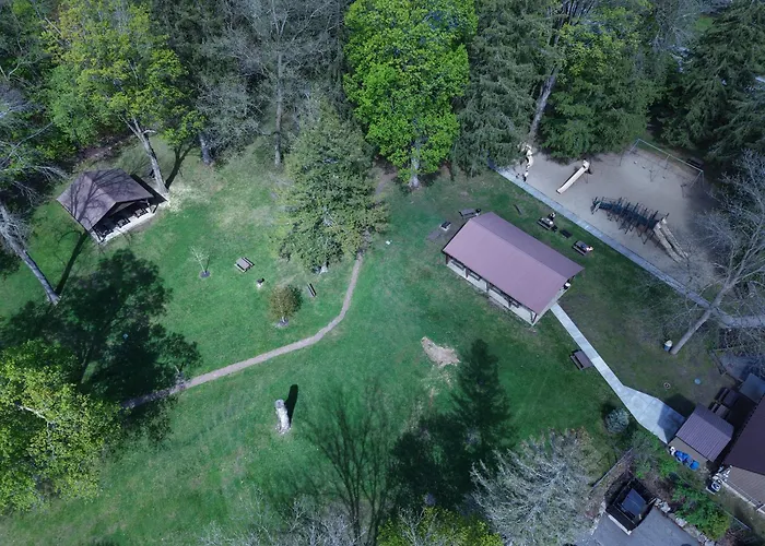 Deluxe Lodge Lakefront On Lake George #4