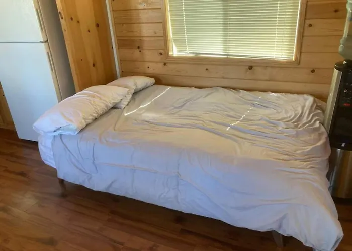 Beach Cabin Pet-Friendly Near Forks & Sekiu