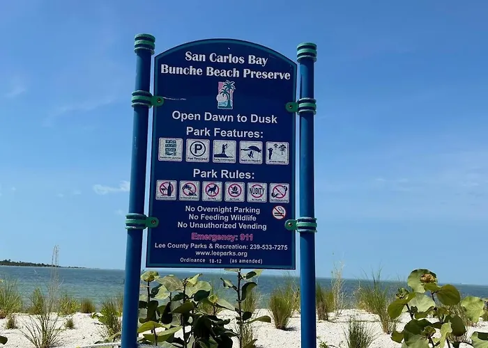 Book A Paradise With Jacuzzi, Bbq & Paddleboards