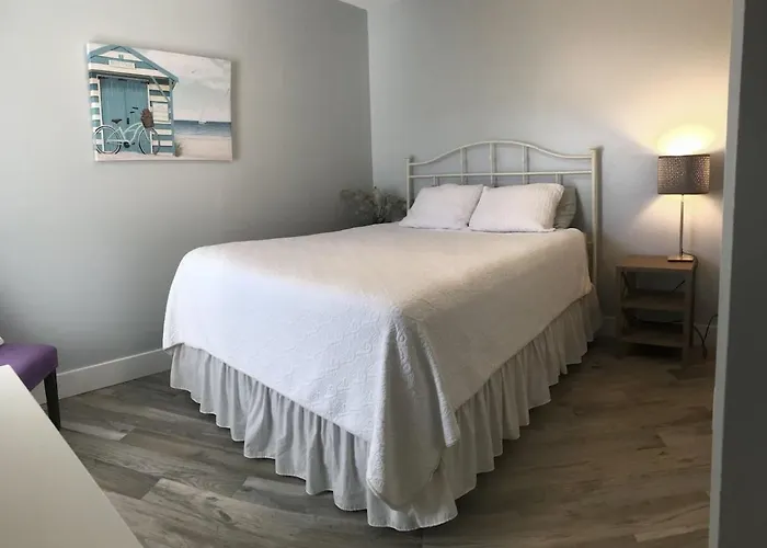 Private Beachfront Fun, Kayaks, Dolphins & Sunsets Await - Fins & Grins - Roelens