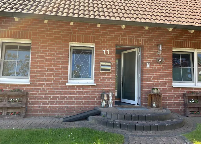 Dachsbau