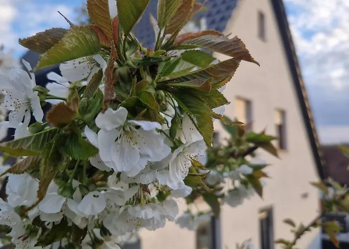 3 Zimmer Oase für Familien und Business
