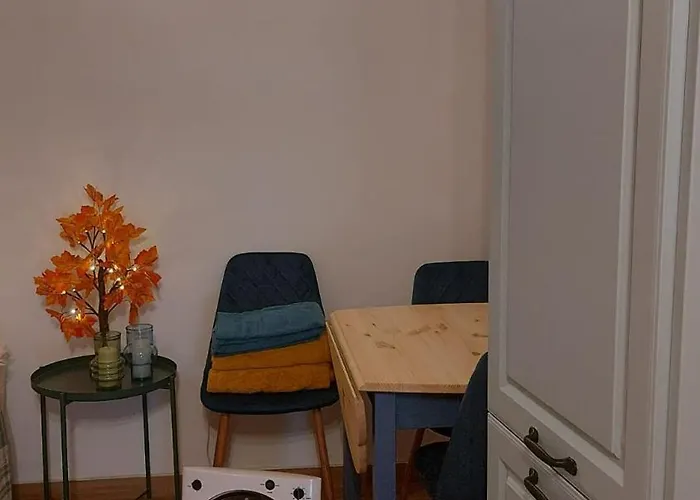 Casa Dos Malmequeres - Alegrete