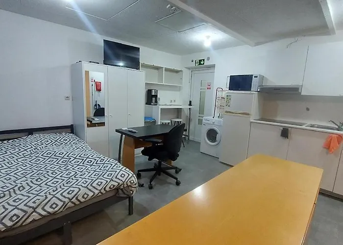 Cozy Studio Apartment With 2 Beds And Kitchen