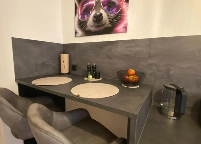 Racoon Lounge