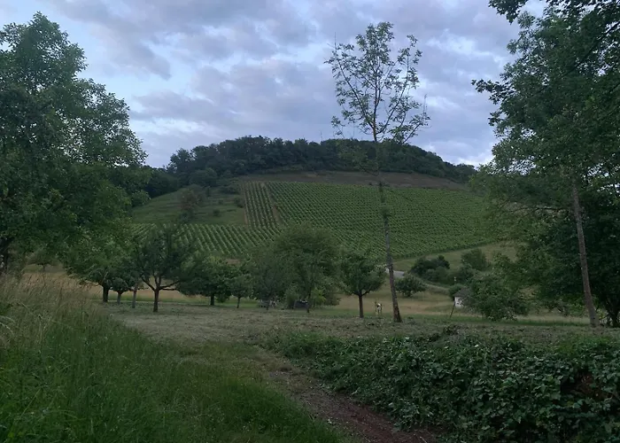FEWO in Spielberg