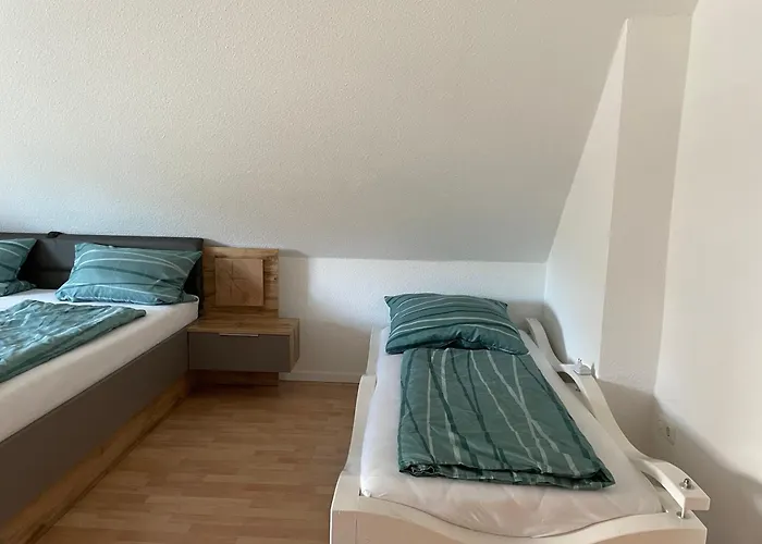 Dachsbau