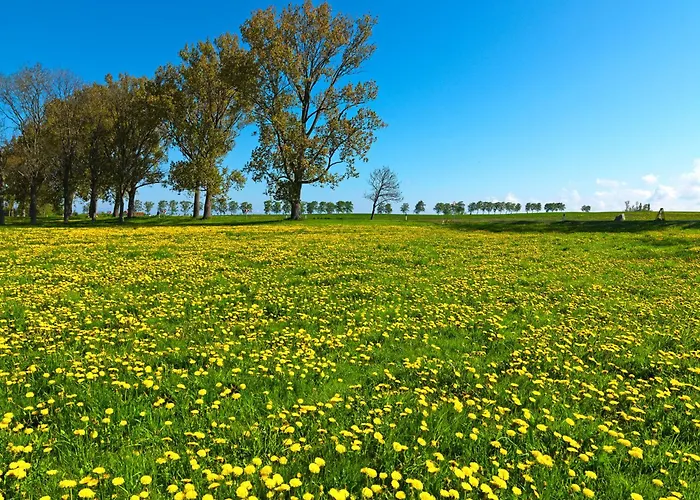 Am Krabbenweg Kirchturmblick