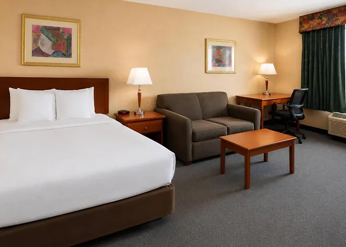 Comfort Inn & Suites Ambassador Bridge