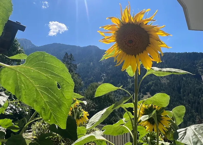 Gschlössle Ferienwohnungen