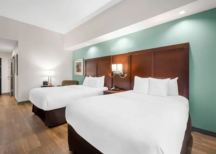 Comfort Suites New Bern Near Cherry Point