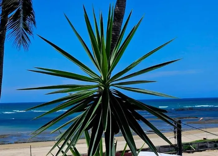 Chales Mediterraneo