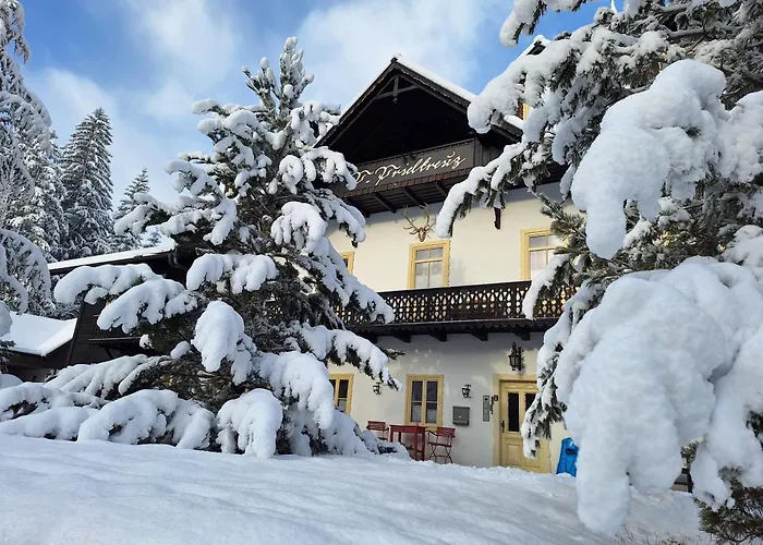Ferienwohnung Ausblick - Pension Prielkreuz
