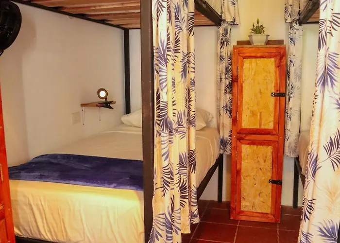 Tribu Hostal Minca