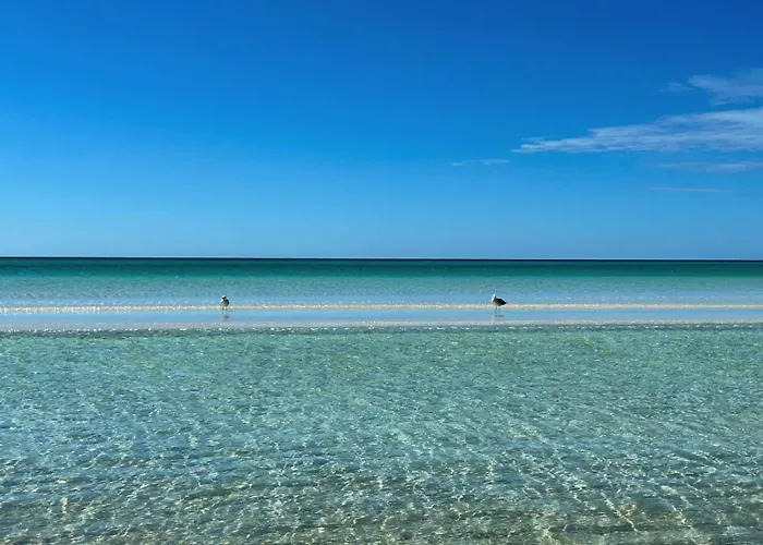 Sandbar Drift - Where The Coast Slows Down.