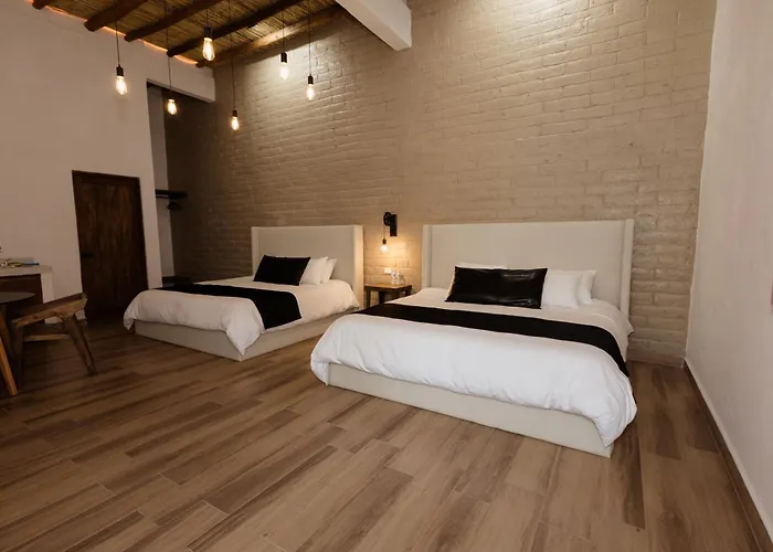 El Molino - Hotel Boutique - Parras