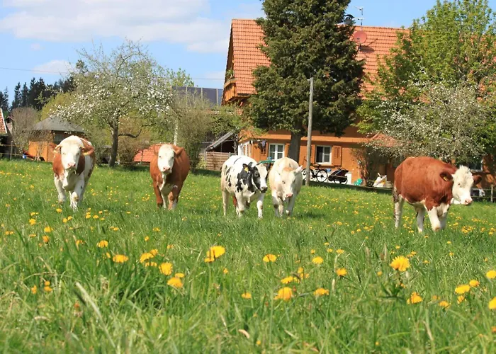 Ferienhof Bayer