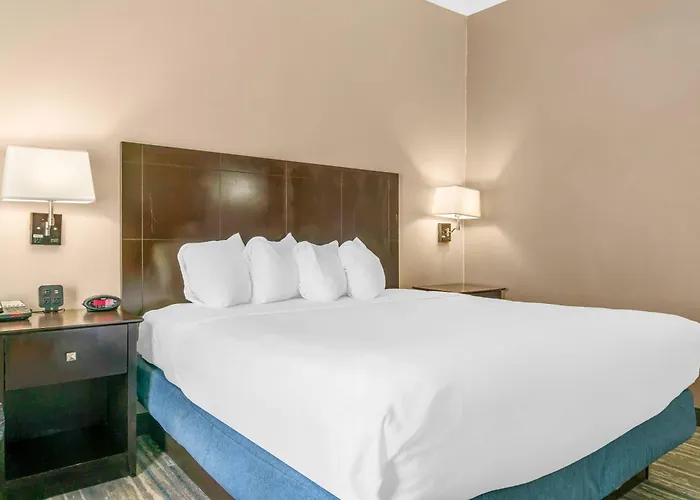 Comfort Inn & Suites Toledo North