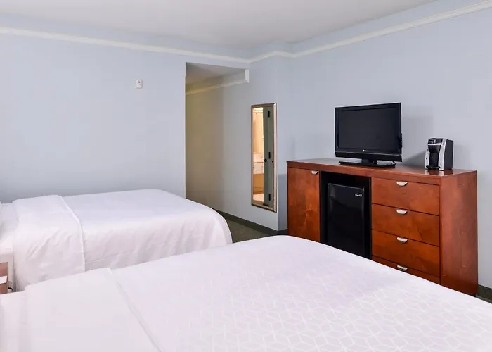 Holiday Inn Express Tampa North Telecom Park By Ihg