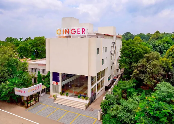 Ginger Bhavnagar
