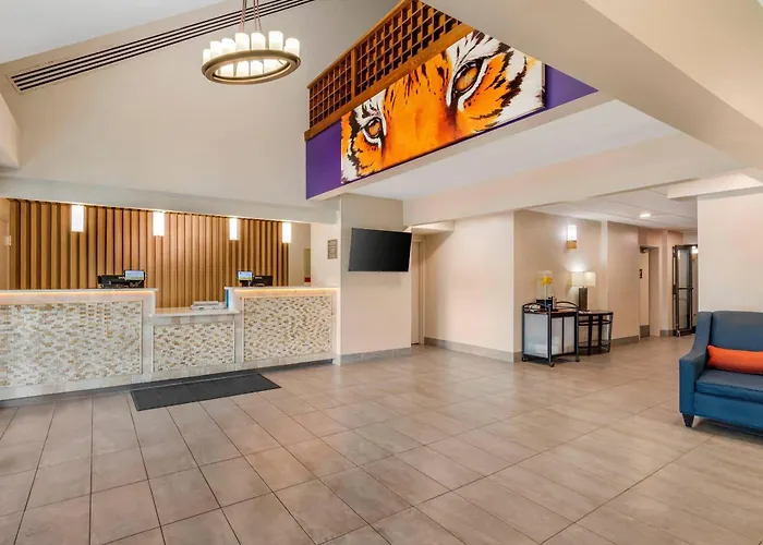 Comfort Inn & Suites Clemson - University Area